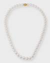 ASSAEL AKOYA PEARL NECKLACE WITH 18K YELLOW GOLD CLASP
