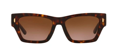 Tory Burch Tb 7169u 17281352 Cat Eye Sunglasses In Brown