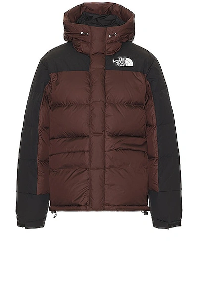The North Face Mens Hmlyn Down Parka Burgundy And Black Hooded Puffer Parka - Mens Hmlyn Down Parka In Coal Brown & Tnf Black