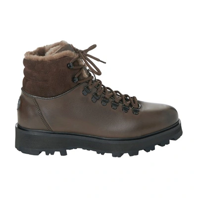 Fusalp Classic Boot W Mountain Shoes In Chocolat