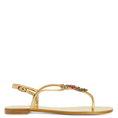 Giuseppe Zanotti Tropical Beach Flat Sandals In Gold