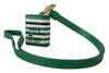 Dolce & Gabbana Elegant Leather Airpods Case - Lush Green In Green