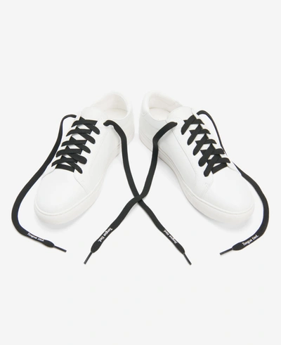 Kenneth Cole Online Exclusive Shoe Laces In Multicolor