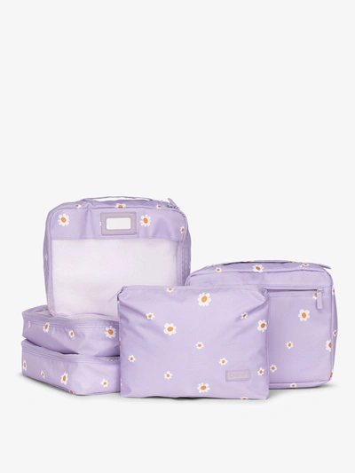 Calpak Packing Cubes Set (5 Pieces) In Orchid Fields