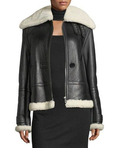 Helmut Lang Aviator Zip-front Shearling/leather Jacket In Black