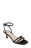 Jewel Badgley Mischka Marley Ankle Strap Sandal In Black