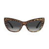 DOLCE & GABBANA DOLCE & GABBANA EYEWEAR CAT