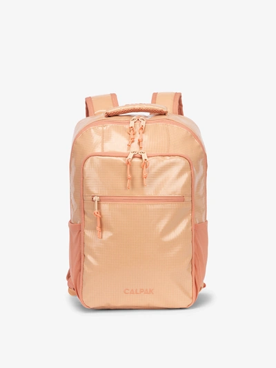 Calpak Terra Laptop Backpack In Canyon