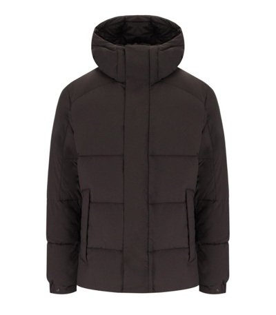 Save The Duck Narcissus Brown Hooded Padded Jacket