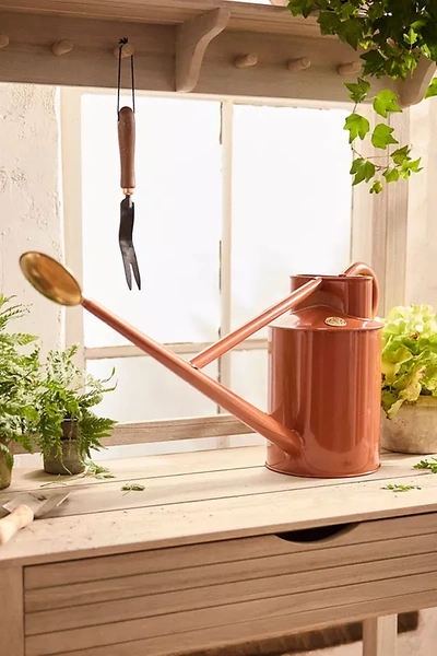 Terrain Long Reach Watering Can, Rust