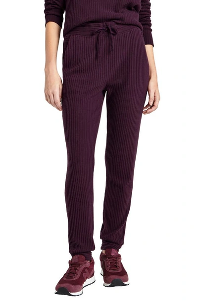 Splendid London Ribbed Jogger Pants In Deep Plum