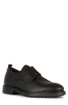 Geox Men's Hilstone Leather Derbys In Coffee