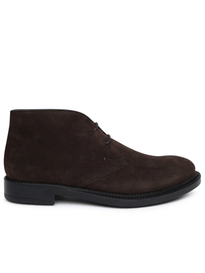 Tod's Polacco Formale 62c Laced Shoe In Brown