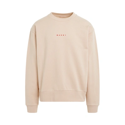 Marni Beige Cropped Sweater In White