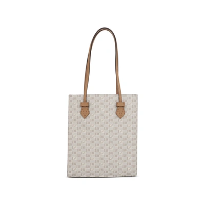 Moreau Cannes Vertical Tote Gm In Brown
