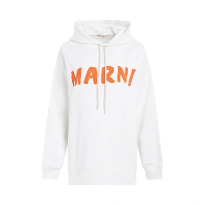 Marni Logo-print Cotton Hoodie In White