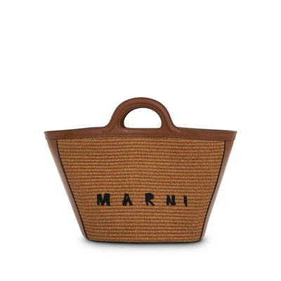 Marni Tropicalia Small Bag In Nude & Neutrals