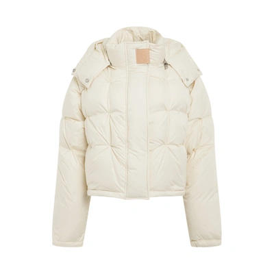 Loewe Cropped Puffer Jacket In Neutrals