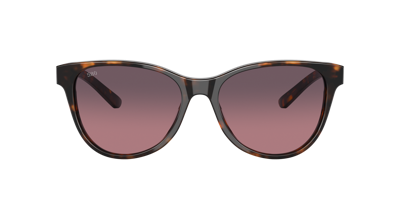 Costa Woman Sunglass 6s2012 Catherine In Rose Gradient