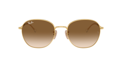 Ray Ban Ray In Light Brown