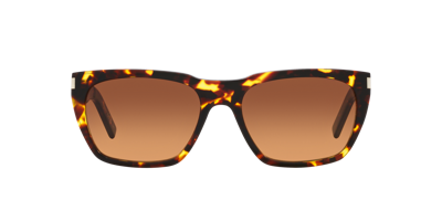 Saint Laurent Eyewear Sunglasses In Brown