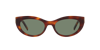 Saint Laurent Womens Brown Slm115 Cat-eye Tortoiseshell Acetate Sunglasses In Green