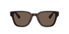 Prada Eyewear In Brown