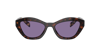Prada Womens Brown Pr A02s Butterfly-frame Acetate Sunglasses In Violet Mirror Internal Silver