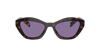 Prada Womens Brown Pr A02s Butterfly-frame Acetate Sunglasses In Violet Mirror Internal Silver