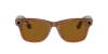 Ray Ban Ray In Brown