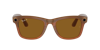 Ray Ban Ray In Brown