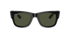 Ray Ban Ray In Green