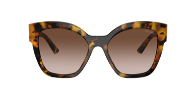 Prada Pr 17zs Vau6s1 Butterfly Sunglasses In Brown
