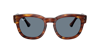 Ray Ban Ray In Blue