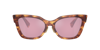 Miu Miu Womens Brown Mu 02zs Square-frame Tortoiseshell Acetate Sunglasses In Bordeaux