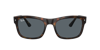 Ray Ban Ray In Blue