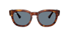 Ray Ban Ray In Blue