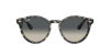 Ray Ban Ray In Grey