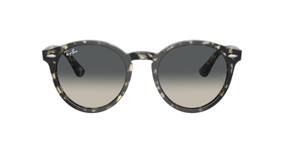 Ray Ban Ray In Grey