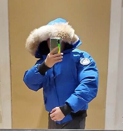 Pre-owned Canada Goose Grey Label Limited Edition  Pbi Chilliwack Medium Parka Bomber In Royal Blue (polar Bear Limited Edition) Pbi