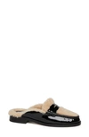Paige Emmett Genuine Shearling Lined Loafer Mule In Black