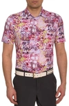 Robert Graham Geneva Performance Golf Polo In Berry