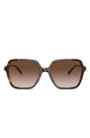 MICHAEL KORS JASPER 58MM SQUARE SUNGLASSES