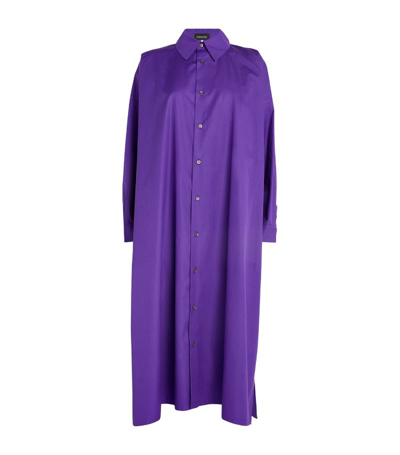 Eskandar A-line Shirt Dress In Purple