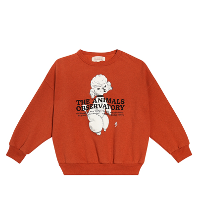 The Animals Observatory Kids' Big Bear Printed Cotton Sweatshirt In Red