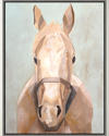 PRESTIGE ARTS PLANAR PONY GICLEE