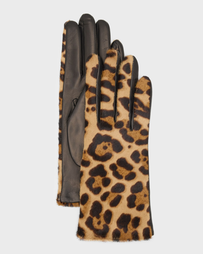 Portolano Jaguar Calf Hair & Leather Gloves In Blk/leopar