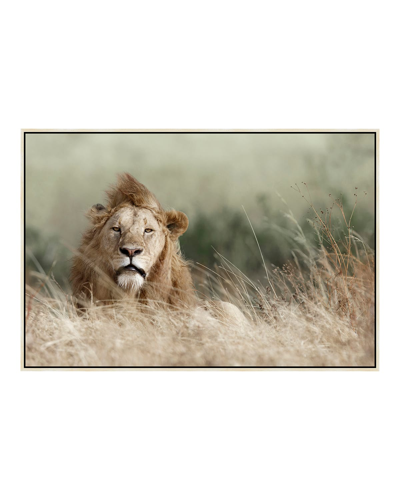 Prestige Arts Your Majesty Photography In Brown