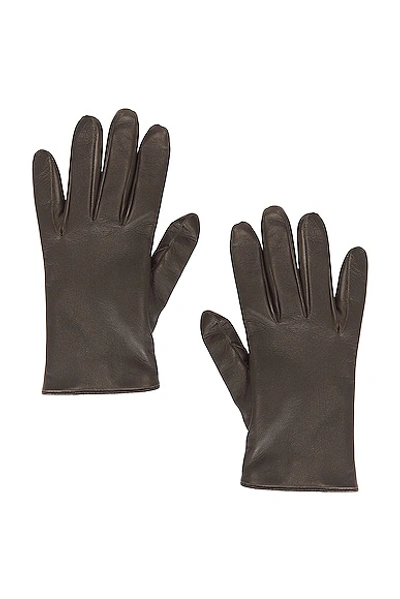 Saint Laurent Leather Gloves In Khaki & Gold