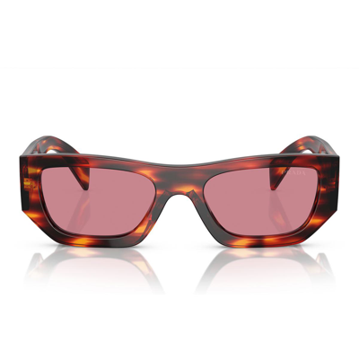 Prada Eyewear Sunglasses In Havana